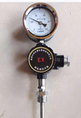 隔爆遠(yuǎn)傳溫度計，WTYY-1021-d，1.5級，0-500℃